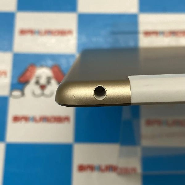 iPad 第5世代 docomo版SIMフリー 32GB MPG42J/A A1823