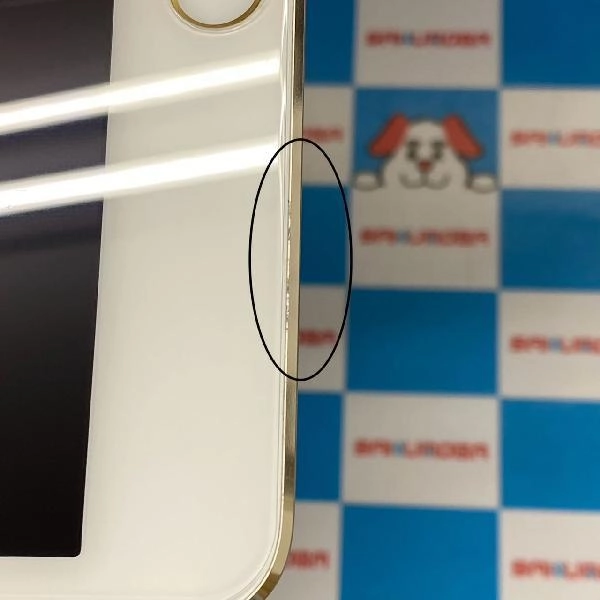 iPad mini 第4世代 Apple版SIMフリー 128GB MK782J/A A1550 美品 ゴールド