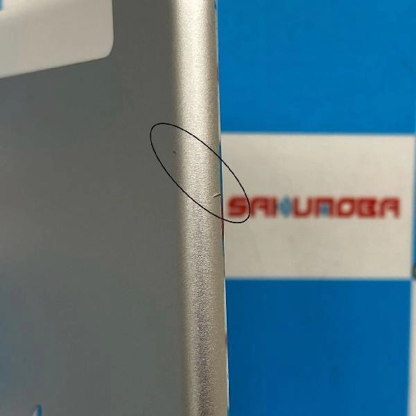 iPad mini 第4世代 docomo版SIMフリー 16GB MK702J/A A1550 訳あり品 シルバー