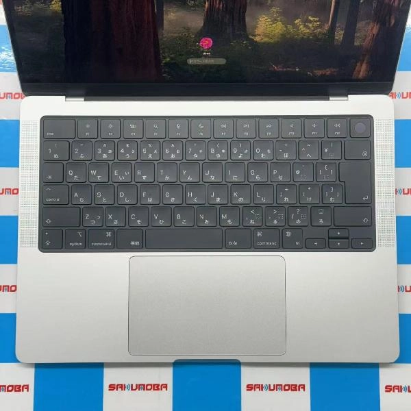MacBook Pro 14インチ M4 2024 1TB MW2X3J/A A3112 極美品 シルバー