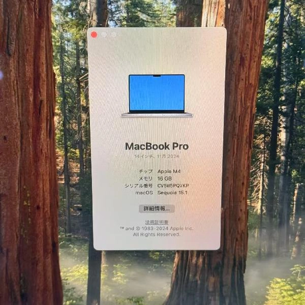 MacBook Pro 14インチ M4 2024 1TB MW2X3J/A A3112 極美品 シルバー