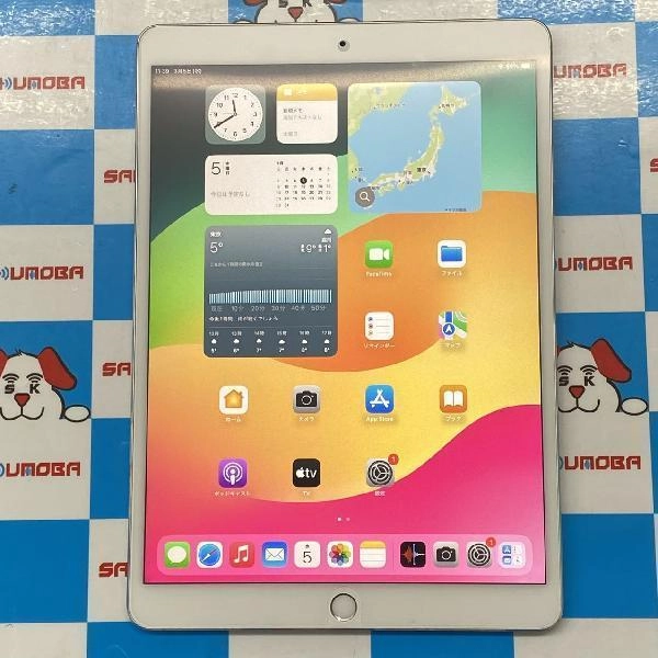 iPad Pro 10.5インチ Wi-Fiモデル 64GB MQDW2J/A A1701 極美品 シルバー