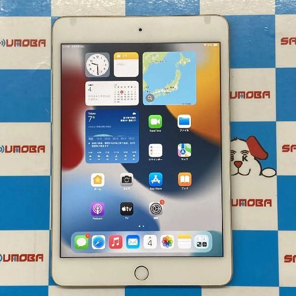 iPad mini 第4世代 Wi-Fiモデル 128GB MK9Q2J/A A1538 訳あり品 ゴールド