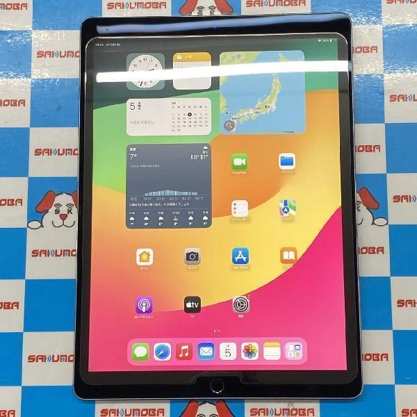 iPad Pro 12.9インチ 第2世代 SoftBank 64GB 3D126J/A A1671 訳あり外観美品 スペースグレイ