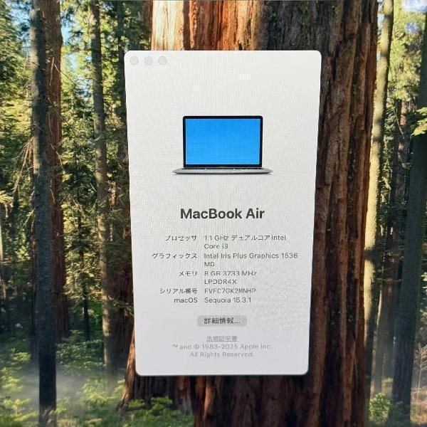 MacBook Air Retina 13インチ 2020 256GB FWTJ2J/A A2179 スペースグレイ