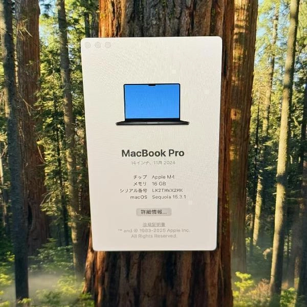 MacBook Pro 14インチ M4 2024 512GB MW2U3J/A A3112 開封未使用 No 商品カラー