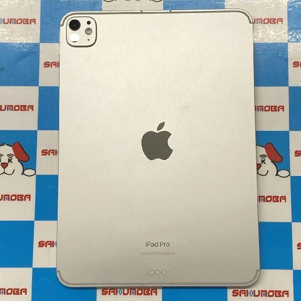 iPad Pro 11インチ 第5世代 Apple版SIMフリー 256GB MVW23J/A A2837 極美品