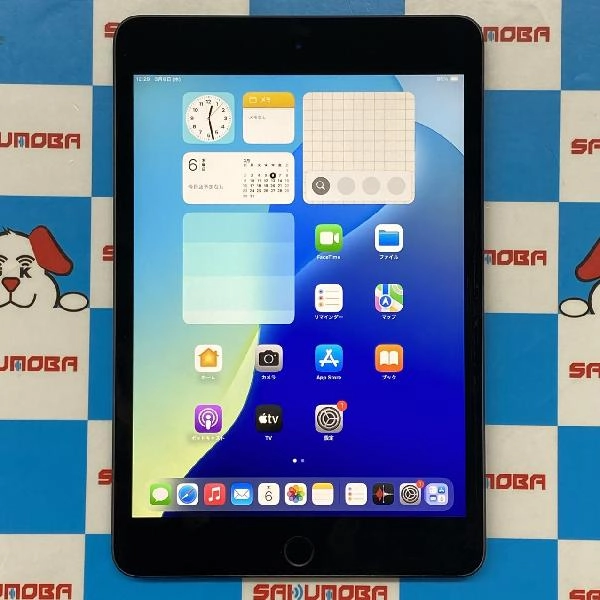 iPad mini 第5世代 Wi-Fiモデル 64GB MUQW2J/A A2133 ジャンク品 スペースグレイ