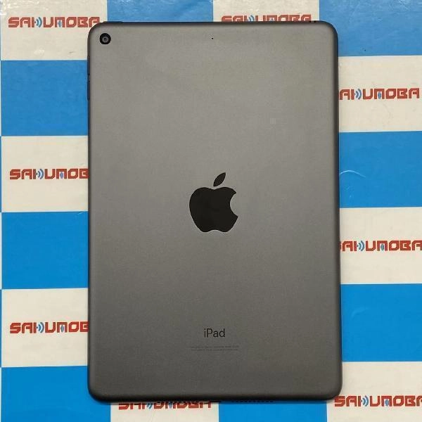 iPad mini 第5世代 Wi-Fiモデル 64GB MUQW2J/A A2133 美品 スペースグレイ