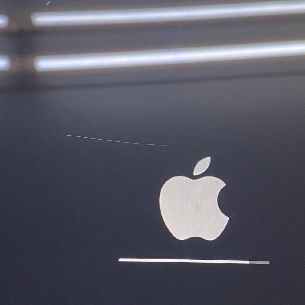 iPad mini 第5世代 Wi-Fiモデル 64GB MUQW2J/A A2133 スペースグレイ