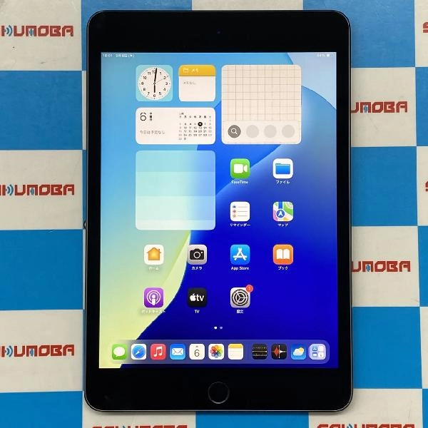 iPad mini 第5世代 Wi-Fiモデル 64GB MUQW2J/A A2133 極美品 スペースグレイ