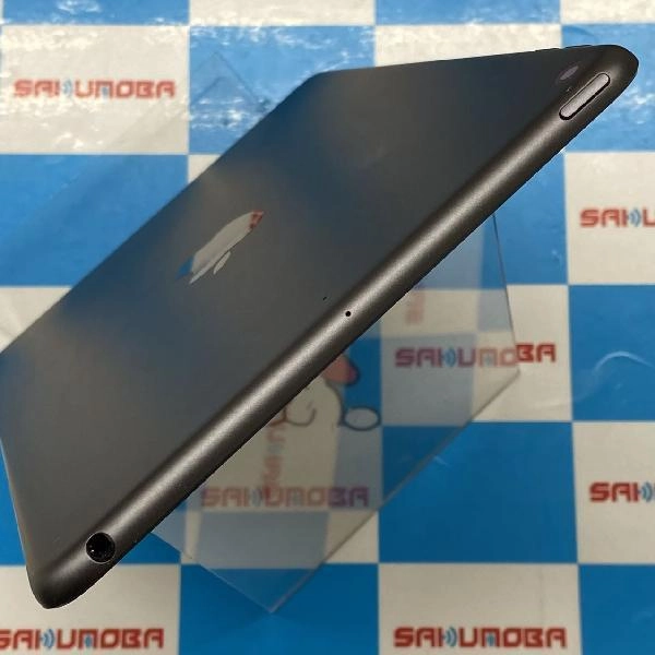 iPad mini 第5世代 Wi-Fiモデル 64GB MUQW2J/A A2133 美品 スペースグレイ