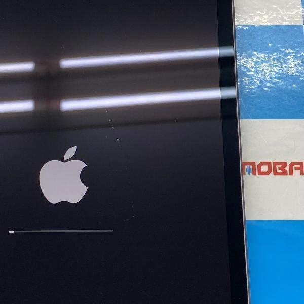 iPad mini 第5世代 Wi-Fiモデル 64GB MUQW2J/A A2133 スペースグレイ