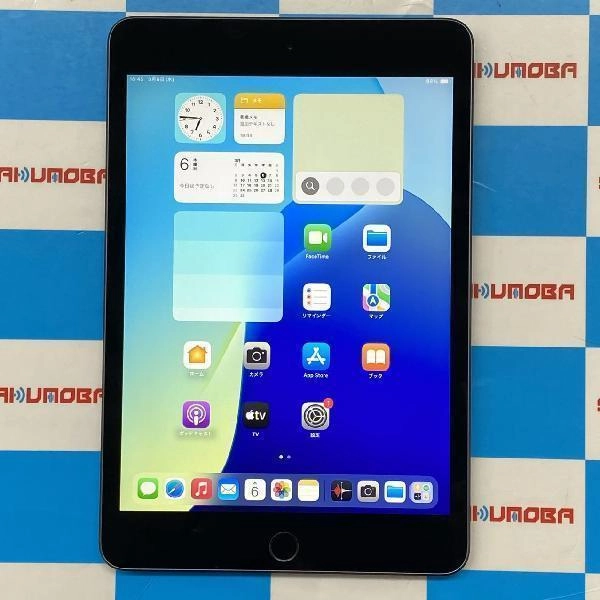 iPad mini 第5世代 Wi-Fiモデル 64GB MUQW2J/A A2133 スペースグレイ