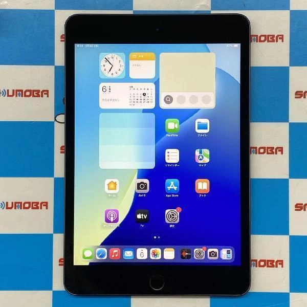 iPad mini 第5世代 Wi-Fiモデル 64GB MUQW2J/A A2133 美品 スペースグレイ