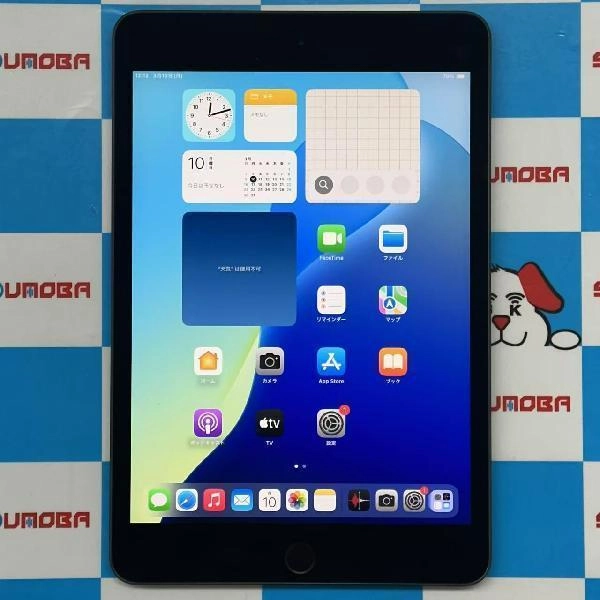 iPad mini 第5世代 Wi-Fiモデル 64GB MUQW2J/A A2133 美品 スペースグレイ