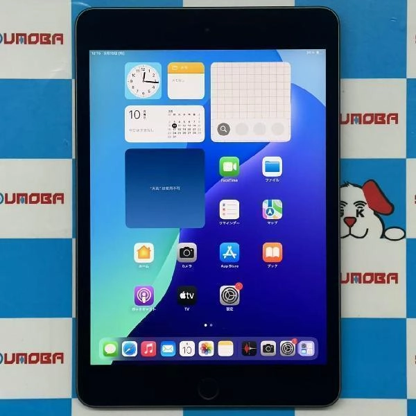 iPad mini 第5世代 Wi-Fiモデル 64GB MUQW2J/A A2133 美品 スペースグレイ