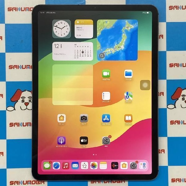 iPad Pro 11インチ 第1世代 SoftBank版SIMフリー 256GB MU102J/A A1934 訳あり品 スペースグレイ