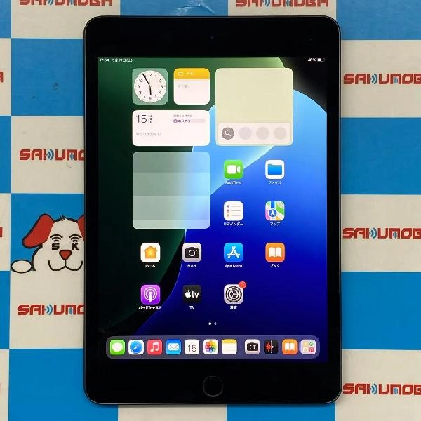 iPad mini 第5世代 docomo版SIMフリー 64GB MUX52J/A A2124 極美品 スペースグレイ