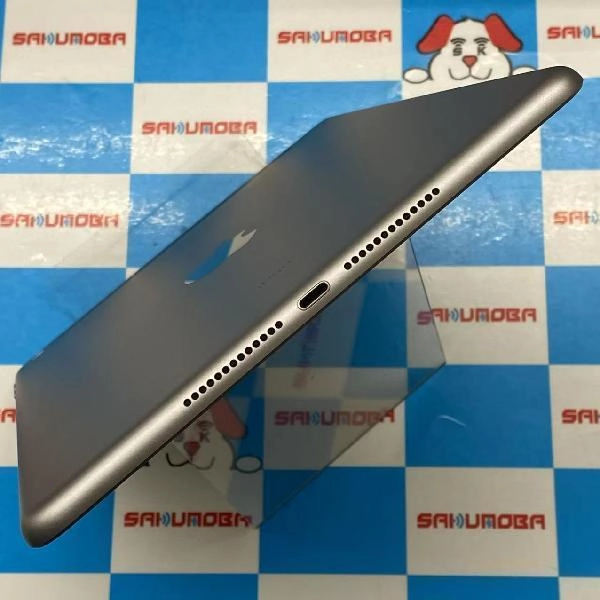 iPad 第6世代 docomo版SIMフリー 32GB MR6N2J/A A1954 美品