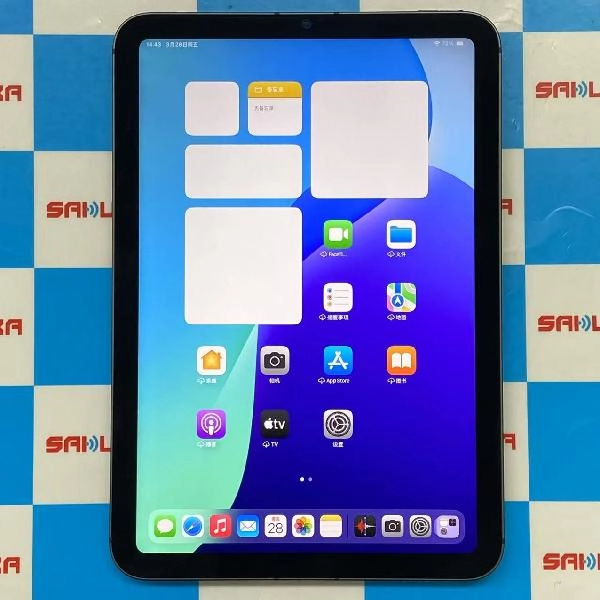 iPad mini 第6世代 Apple版SIMフリー 64GB MK893J/A A2568 極美品