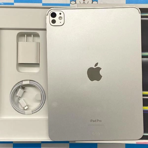 iPad Pro 11インチ 第5世代 Wi-Fiモデル 256GB MVV93J/A A2836 訳あり新品