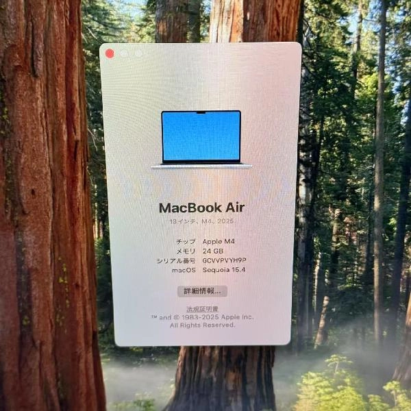 MacBook Air 13インチ Early2025 256GB Z1CT000U9J/A A3240 新品同様 シルバー