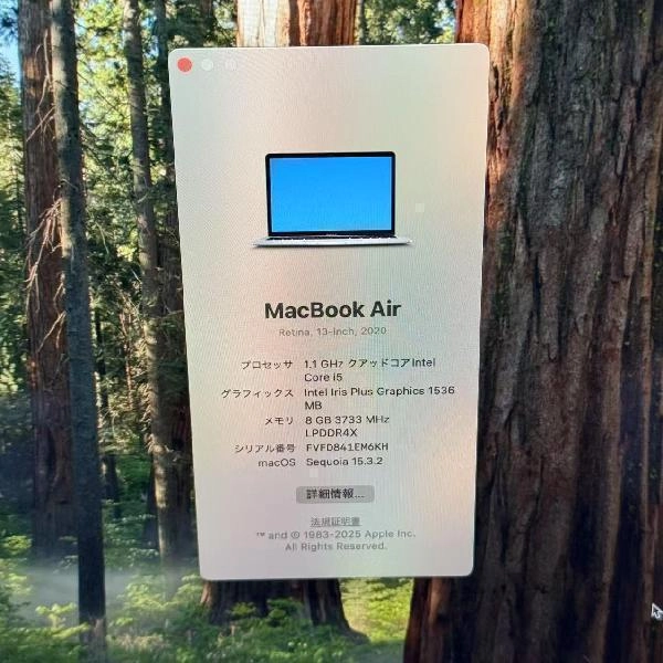 MacBook Air Retina 13インチ 2020 512GB MVH42J/A A2179 シルバー