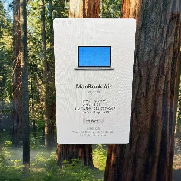 MacBook Air M1 2020 256GB A2337 スペースグレイ