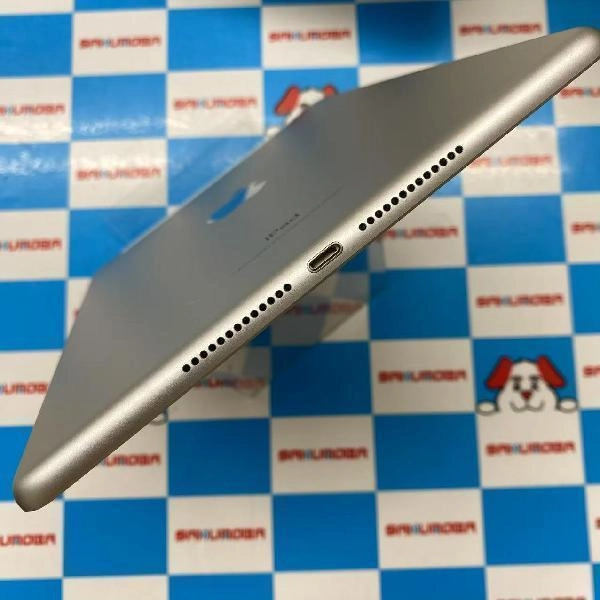 iPad 第6世代 docomo版SIMフリー 32GB MR6P2J/A A1954 極美品