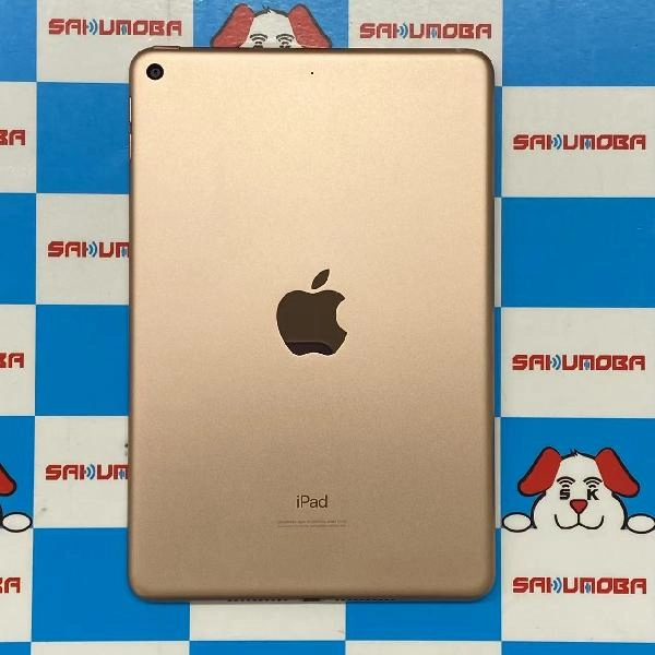 iPad mini 第5世代 Wi-Fiモデル 64GB MUQY2J/A A2133 美品 ゴールド