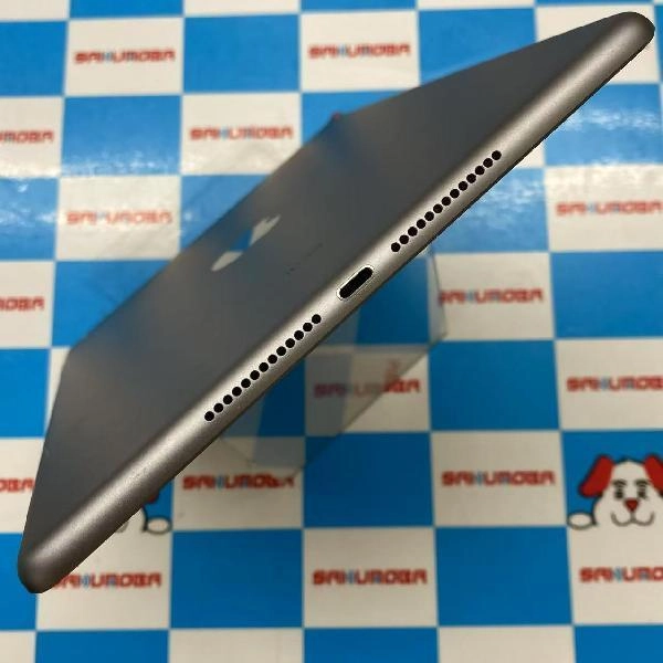 iPad 第6世代 docomo版SIMフリー 32GB MR6N2J/A A1954