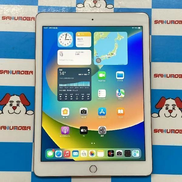 iPad 第6世代 Wi-Fiモデル 32GB MRJN2J/A A1893 極美品