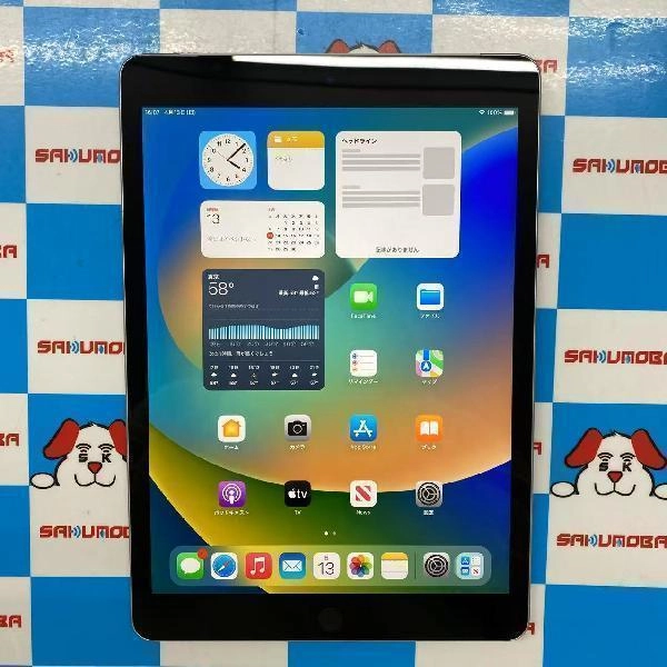 iPad 第9世代 docomo版SIMフリー 256GB MK4H3J/A A2604