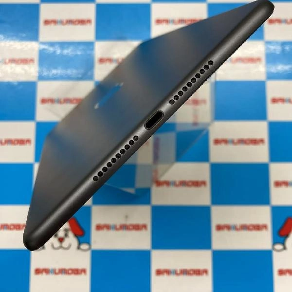 iPad mini 第5世代 Wi-Fiモデル 64GB MUQW2J/A A2133 スペースグレイ