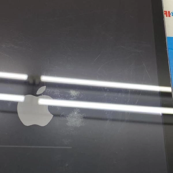 iPad 第9世代 docomo版SIMフリー 256GB MK4E3J/A A2604 訳あり品
