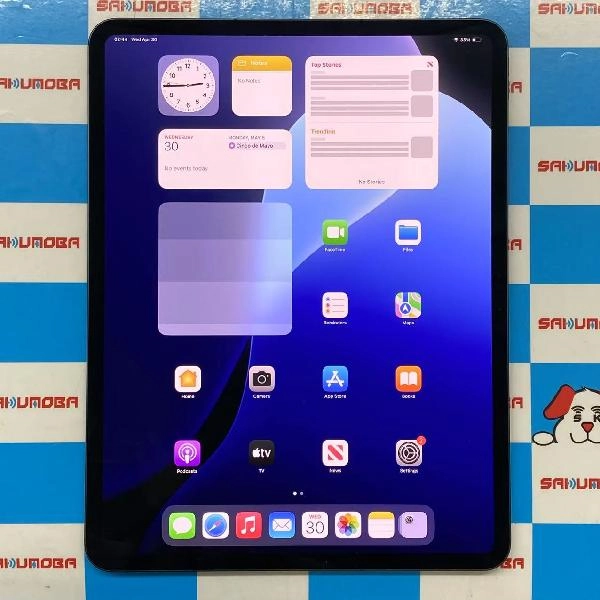 iPad Pro 13インチ 第1世代 SoftBank版SIMフリー 256GB MVXR3J/A A2926 新品同様