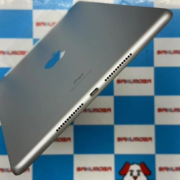 iPad 第7世代 SoftBank版SIMフリー 32GB MW6C2J/A A2198