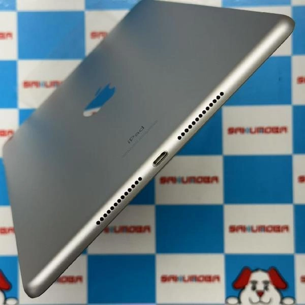 iPad 第7世代 Wi-Fiモデル 32GB MW752J/A A2197 シルバー