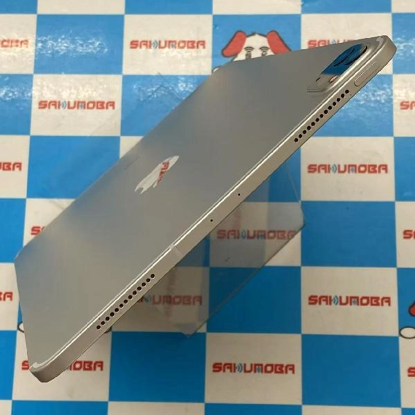iPad Pro 11インチ 第2世代 docomo版SIMフリー 512GB MXE72J/A A2230 訳あり品 シルバー