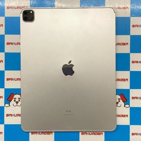 iPad Pro 12.9インチ 第5世代 SoftBank版SIMフリー 512GB MHR93J/A A2461 極美品 シルバー