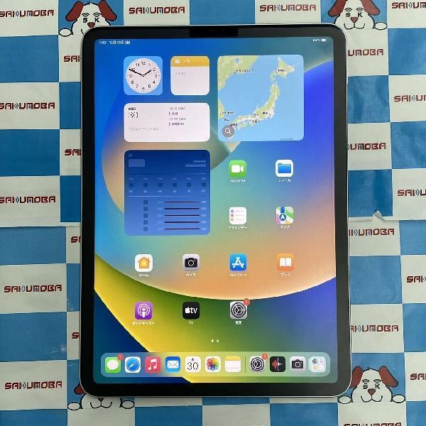 iPad Pro 11インチ 第1世代 Wi-Fiモデル 256GB MTXR2J/A A1980 新品同様品 シルバー