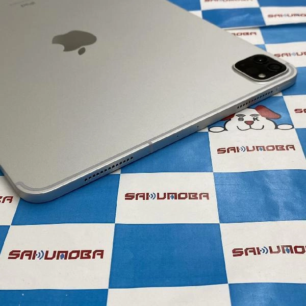 iPad Pro 11インチ 第2世代 SoftBank版SIMフリー 128GB MY2W2J/A A2230 美品 シルバー