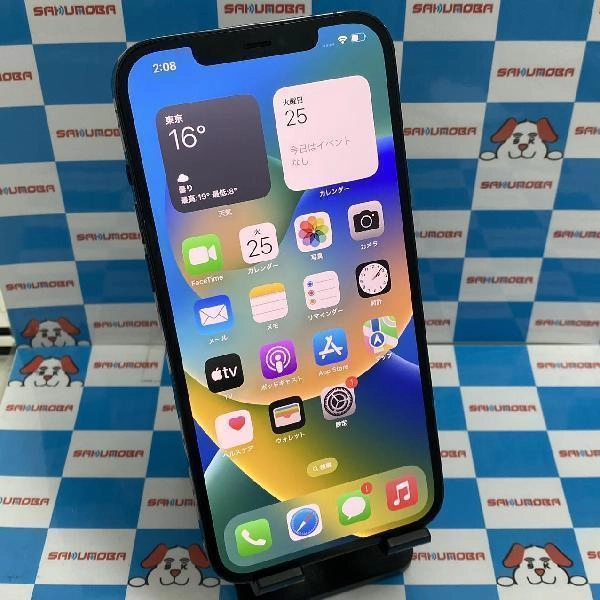 iPhone12 Pro Max docomo版SIMフリー 128GB MGCX3J/A A2410 パシフィックブルー