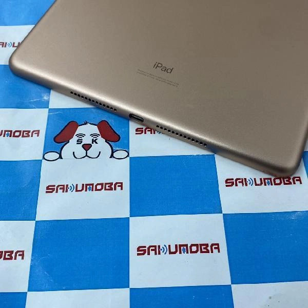 iPad 第7世代 docomo版SIMフリー 32GB MW6D2J/A A2198 ゴールド