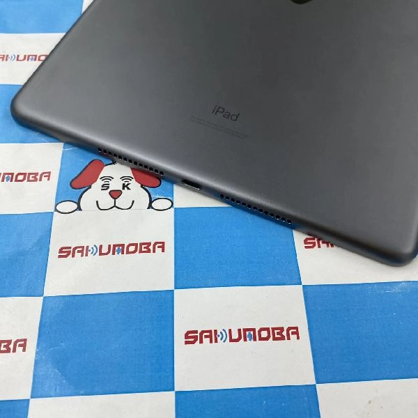 iPad 第7世代 docomo版SIMフリー 32GB MW6A2J/A A2198