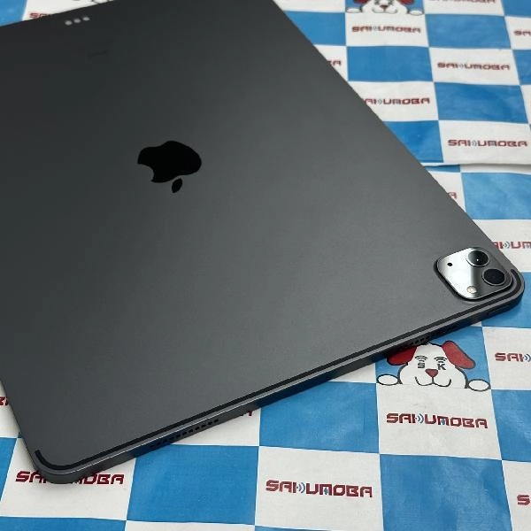 iPad Pro 12.9インチ 第5世代 Wi-Fiモデル 256GB MHNH3J/A A2378 極美品 スペースグレイ