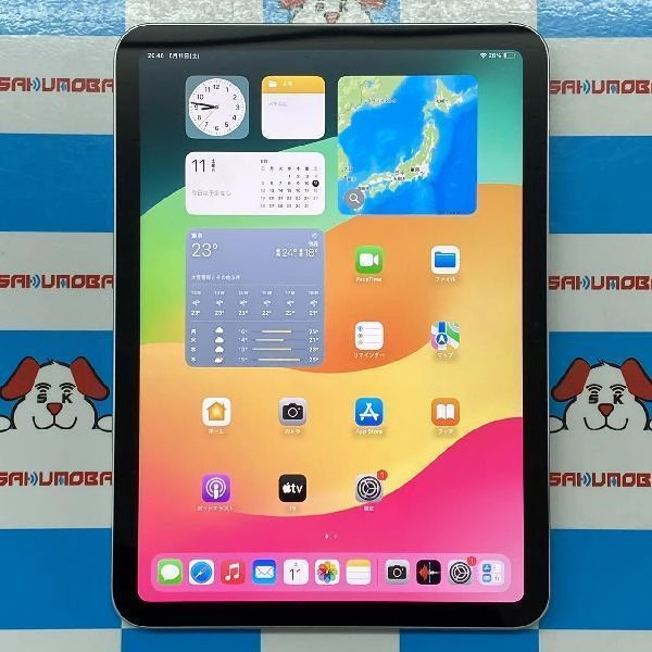 iPad 第10世代 海外モデル 64GB MPQ03TA/A A2696 新品同様 シルバー SIMフリー