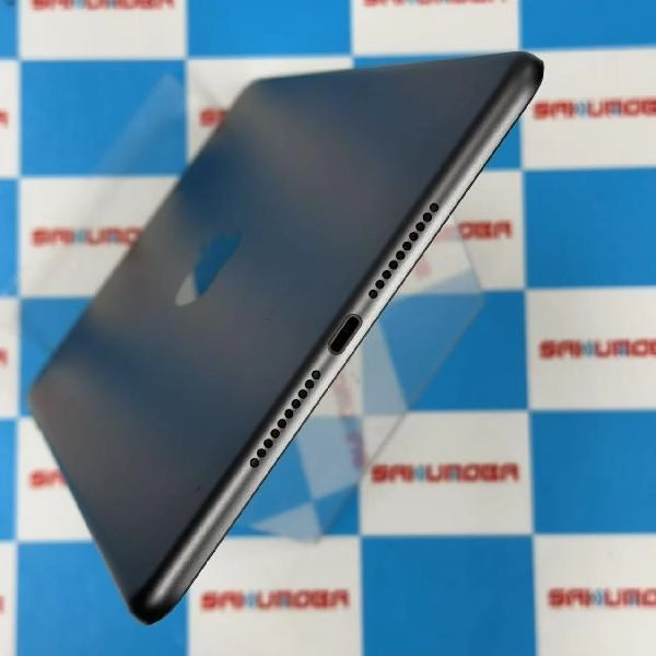 iPad mini 第5世代 au版SIMフリー 64GB NUX52J/A A2124 極美品 スペースグレイ
