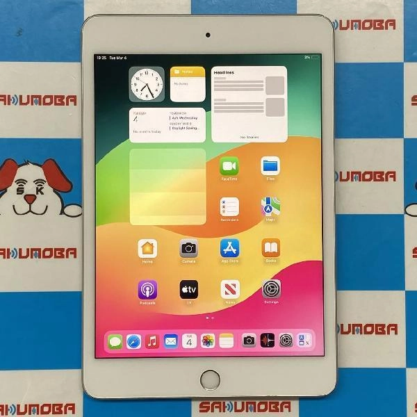 iPad mini 第5世代 Wi-Fiモデル 256GB MUU52J/A A2133 ジャンク品 シルバー
